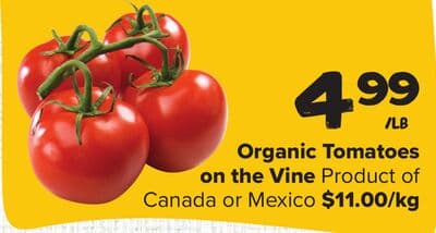 Organic Tomatoes on the Vine