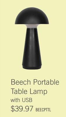 Beech 11" Modern Acrylic Portable Indoor/Outdoor Table Lamp with USB Port - Black