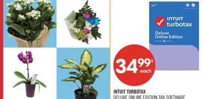 INTUIT TURBOTAX DELUXE ONLINE EDITION TAX SOFTWARE