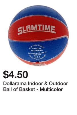 Dollarama Indoor & Outdoor Ball of Basket - Multicolor