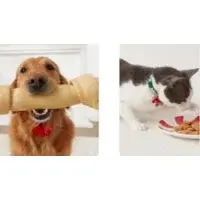 PetSmart Canada Pre-Black Friday Sale